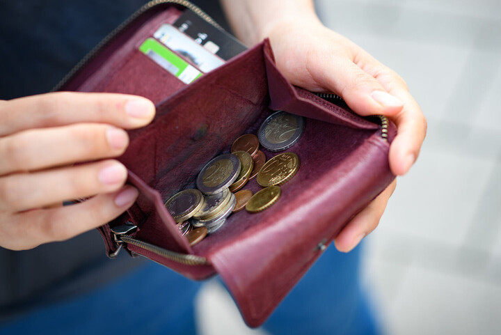 There are many coins of different denominations in a purse.